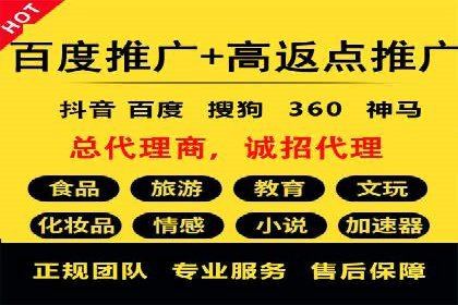 百度竞价推广运营实战技巧与经典案例剖析