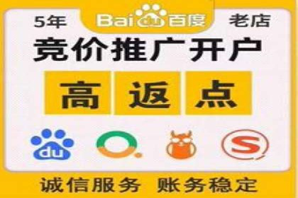 SEM优化师成功案例：助力企业实现品牌升级